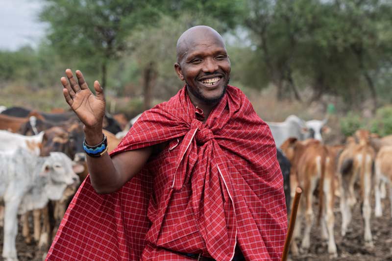 How We Travel 5 goat herding