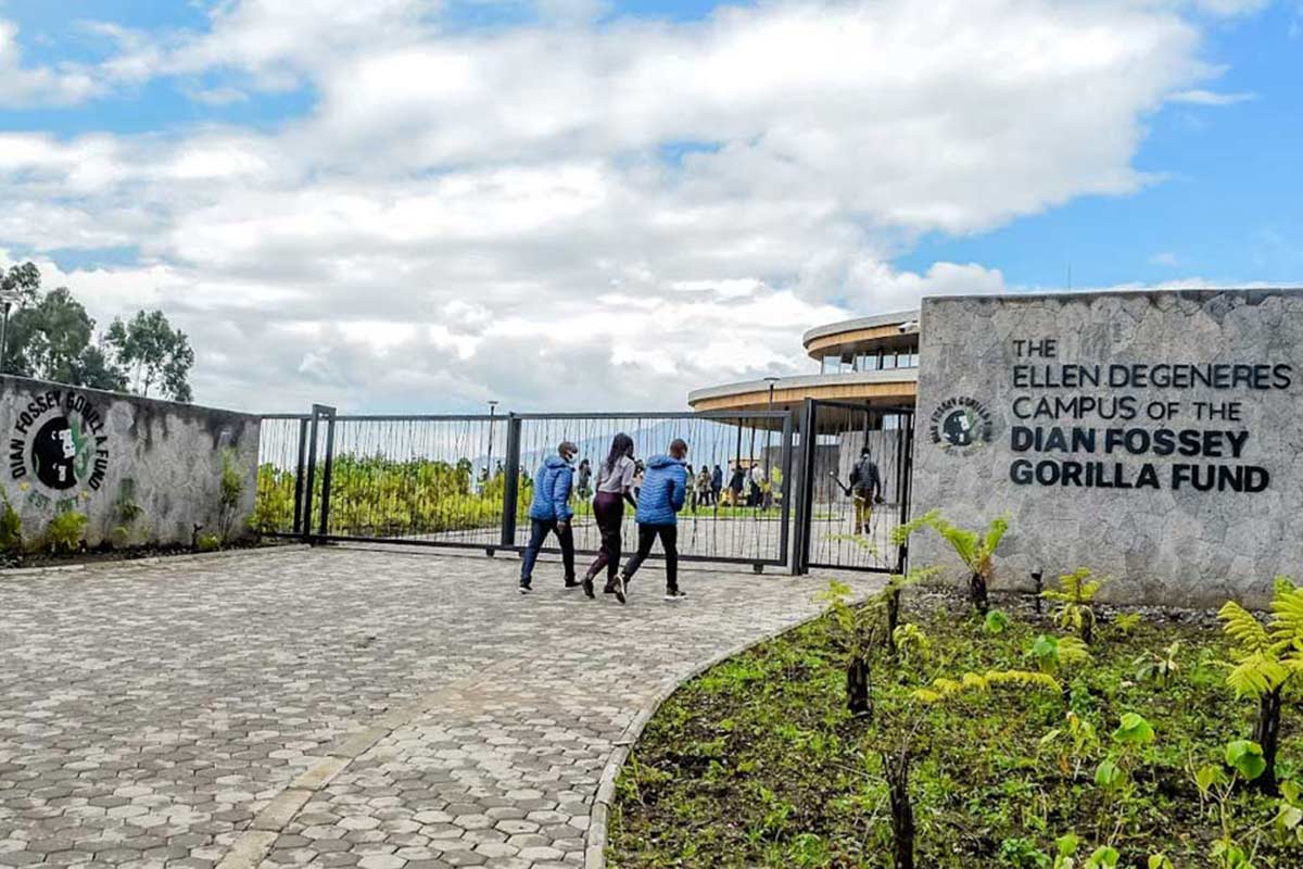 How We Travel 9 gorilla fund advocate