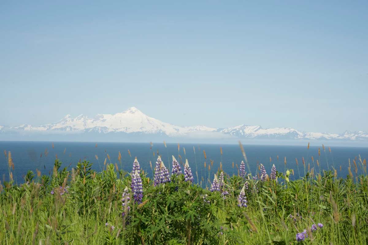 How We Travel 8 green alaska