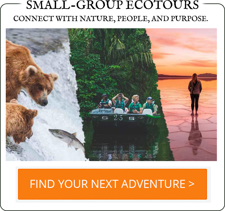 Gondwana Ecotours Adventure Tour Company