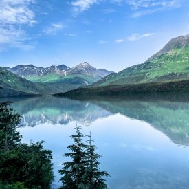 View Alaska’s glacial waters and forest-lined coasts at Kenai Fjords National Park.