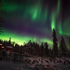 Northern Lights shine over A Taste of Alaska Lodge.