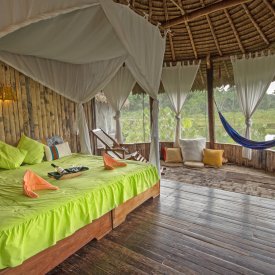 Experience the Amazon Rainforest in comfort & safety