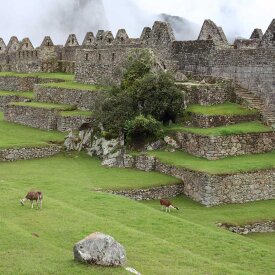 Join our optional post-trip extension to explore Machu Picchu, the legendary Incan citadel nestled high in the Andes.