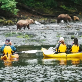 Kayak through the breathtaking Admiralty Island National Monument, otherwise known as “Fortress of the Bear”, and keep your eyes open for brown bears near the shorelines and nesting bald eagles overhead.