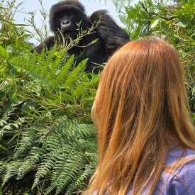 Stare into the soulful eyes of our closest mammal cousin.