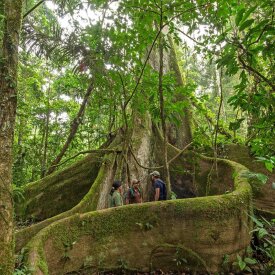 Learn from the locals on this unique experience