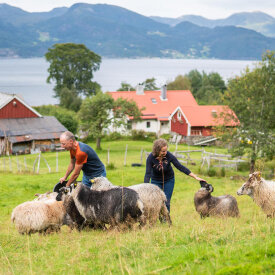 We’ll visit a small farm and homestead one afternoon