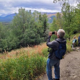 Set foot deep within Alaska’s boreal forests during a group hike.