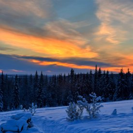 Take in the beauty of Alaska’s winter skies.