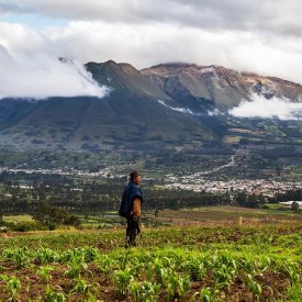 The Highlands of Ecuador