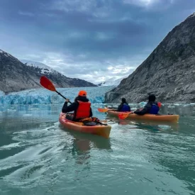 Explore Fords Terror Wilderness Area by kayak, gliding near majestic glaciers and surrounded by towering mountains for close access to Alaska’s natural wonders.