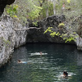 Swim in a cenote in Zapata National Park!