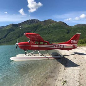 Fly in a floatplane to a remote park and observe the brown coastal (grizzly) bears!