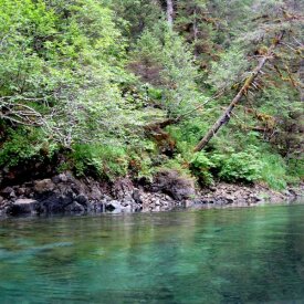 Kayking in Kenai Fjords National Park
