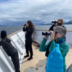Spot wildlife from our deck, where you can see a variety of wildlife in their natural habitats. Observe animals like seals, otters, sea lions, porpoises and more, creating unforgettable memories with Alaska’s biodiverse ecosystem.