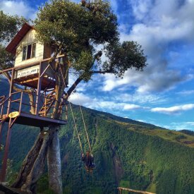 La Casa del Arbol Swing (Photo by @triffer26)