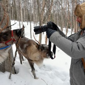 Feed, Photograph and Hike with the Animals at Running Reindeer Ranch