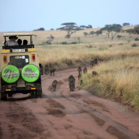 Wildlife viewing in the Serengeti