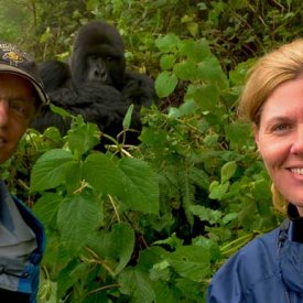 Have the experience of a lifetime during our gorilla trekking, standing feet from these gentle primates.