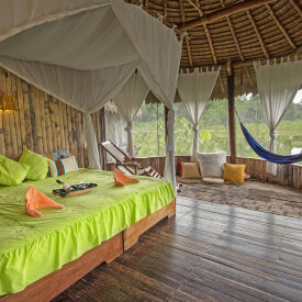 Experience the Amazon Rainforest in comfort & safety