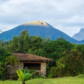 Enjoy panoramic volcanoe views at Mountain Gorilla View Lodge.