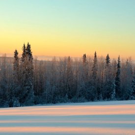 Morning Sun Peeks Over the Forest Outside Fairbanks