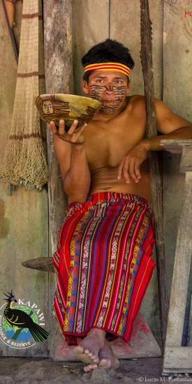 An Achuar man drinking Chicha