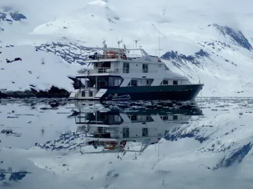 Our ship is agile and spry, reaching small nooks that others cannot, including coveted wilderness areas with limited access of no more than two groups of twelve guests per day!