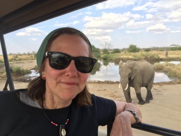 Elephant viewing while on vehicle