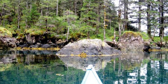 Kayaking in the Kenai Peninsula
