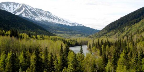 Kenai Alaska